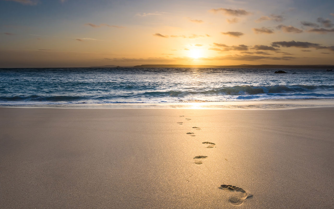 Marie-Dominique Taillon assise au bureau
